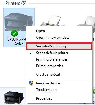 Initial Checks and Quick Fixes for Epson Printer Offline Issue